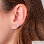 Aros Trepadores Espiga Plata
