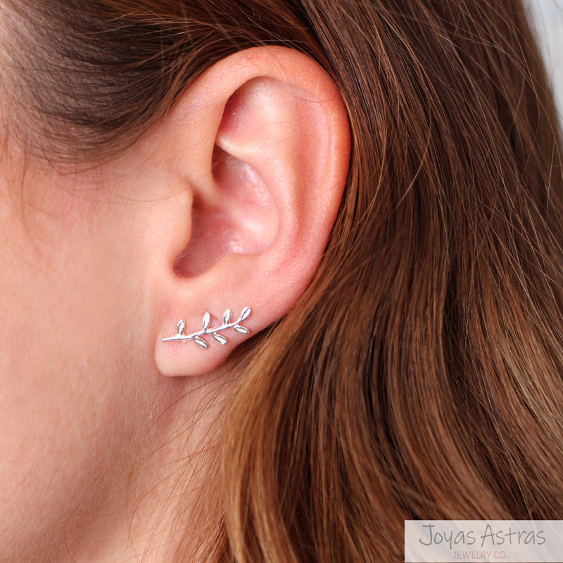 Aros Trepadores Espiga Plata