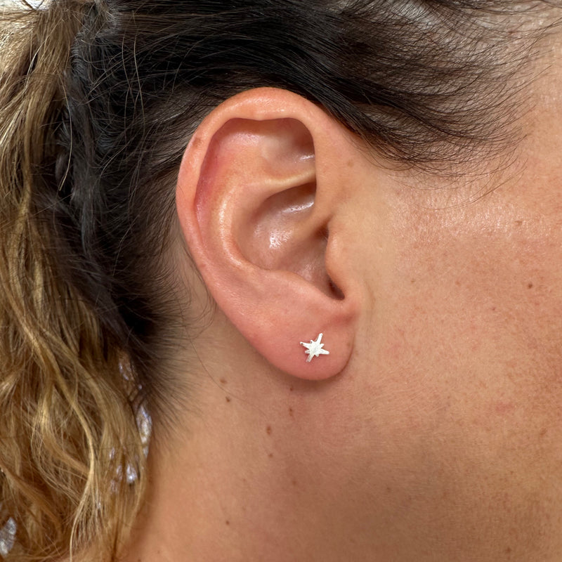 AROS TINY ESTRELLA DEL NORTE