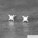 AROS TINY ESTRELLA DEL NORTE